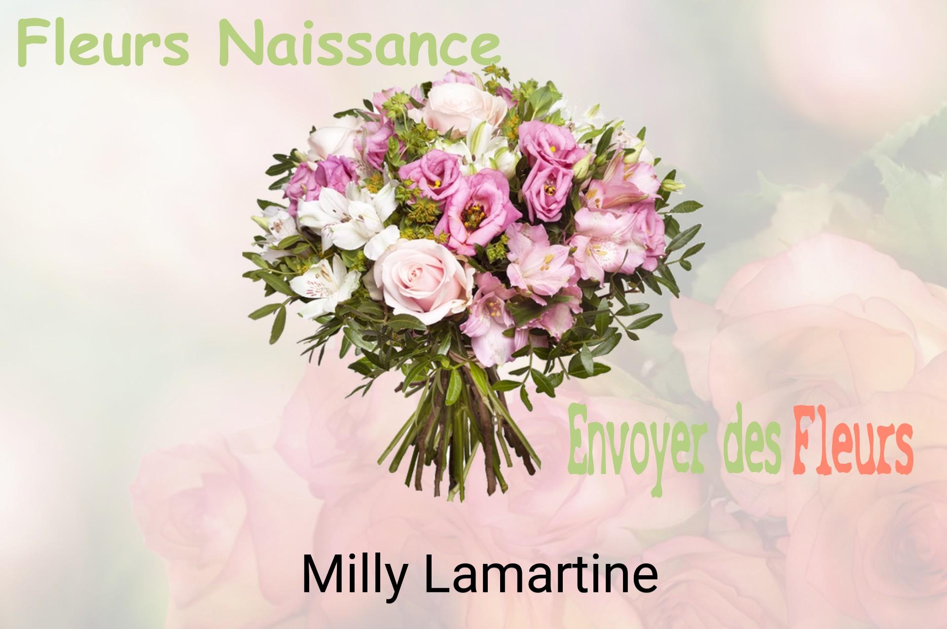 Bouquet de fleurs de naissance livré à Milly-Lamartine